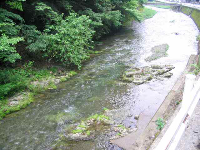奈良県西吉野・宗川