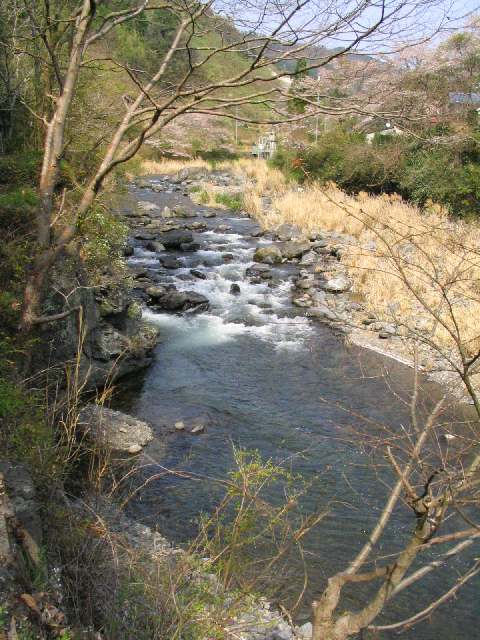 和歌山県丹生川(玉川峡)